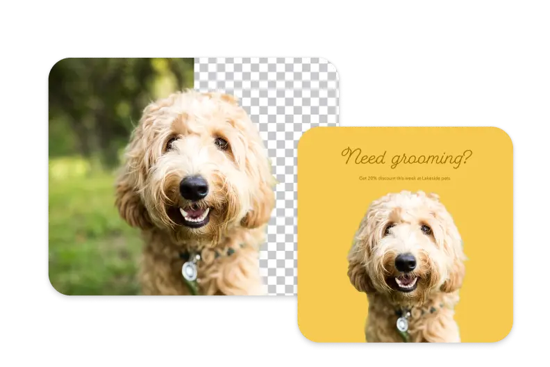 Tip #3: Remove or replace backgrounds effortlessly