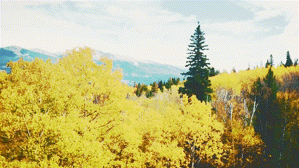 En GIF af retrofilteret i Clipchamp. 