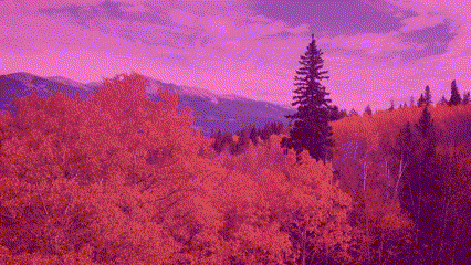 En GIF med farveoverlejringsfiltre i Clipchamp. 