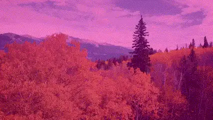 GIF des filtres de superposition de couleurs dans Clipchamp.