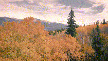 En GIF af filteret pasteldrømme i Clipchamp. 