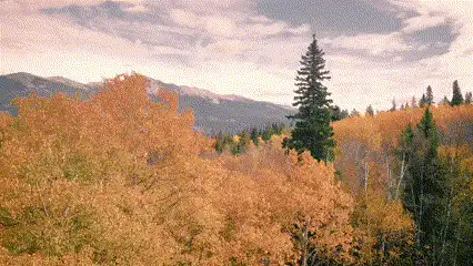 GIF du filtre « Pastel dreams » dans Clipchamp.