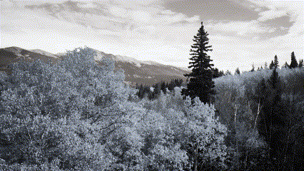 En GIF af sort-hvid-filteret i Clipchamp. 
