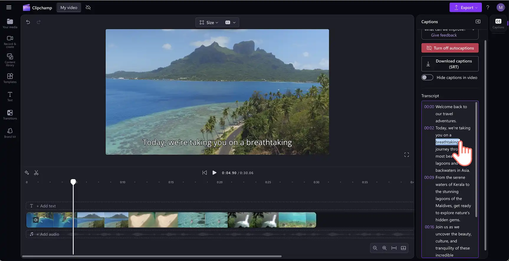 Imej seorang pengguna mengedit teks sari kata dalam transkrip.